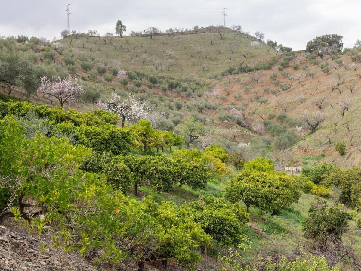 Alojamiento Rural Casa La Era Almogía 외부 사진